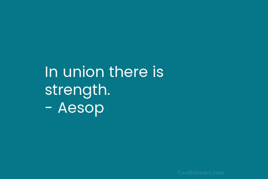 In union there is strength. – Aesop
