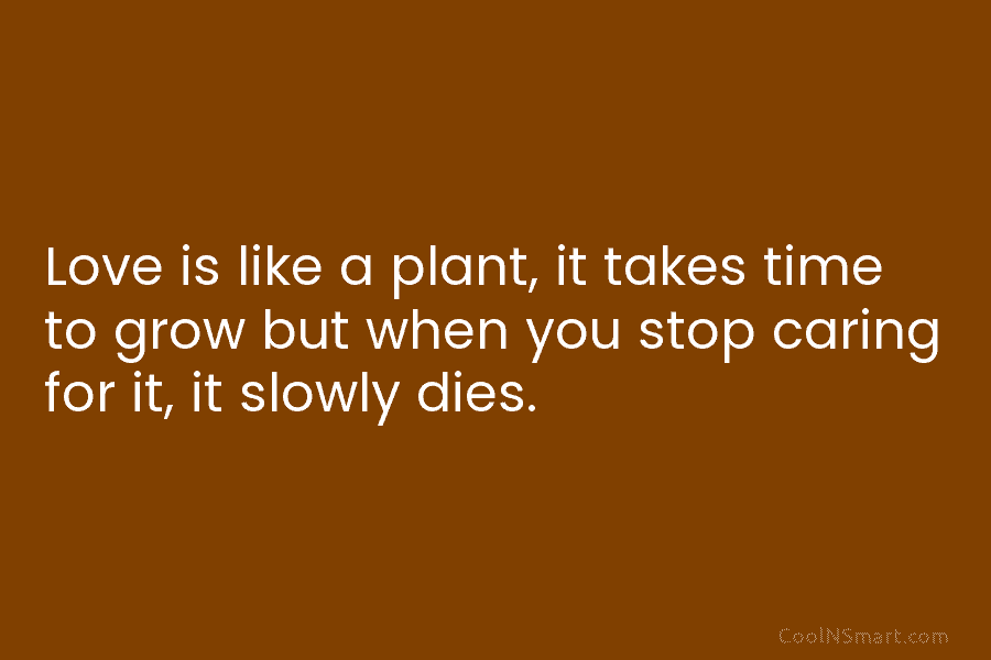 Love is like a plant, it takes time to grow but when you stop caring for it, it slowly dies.