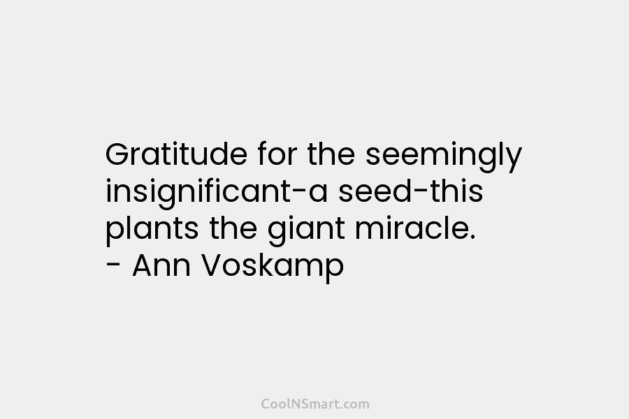 Gratitude for the seemingly insignificant-a seed-this plants the giant miracle. – Ann Voskamp