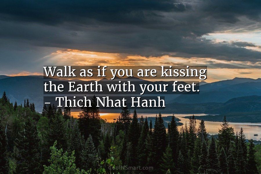 20+ Thich Nhat Hanh Quotes - CoolNSmart