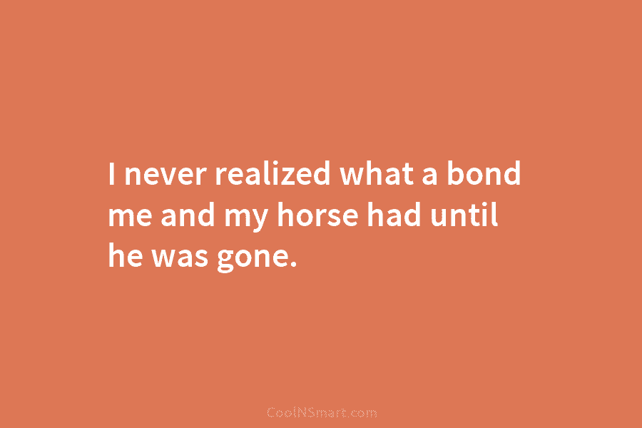 I never realized what a bond me and my horse had until he was gone.