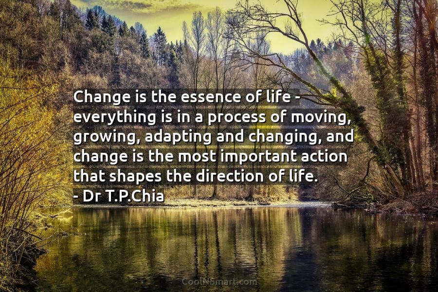 change is the essence of life essay