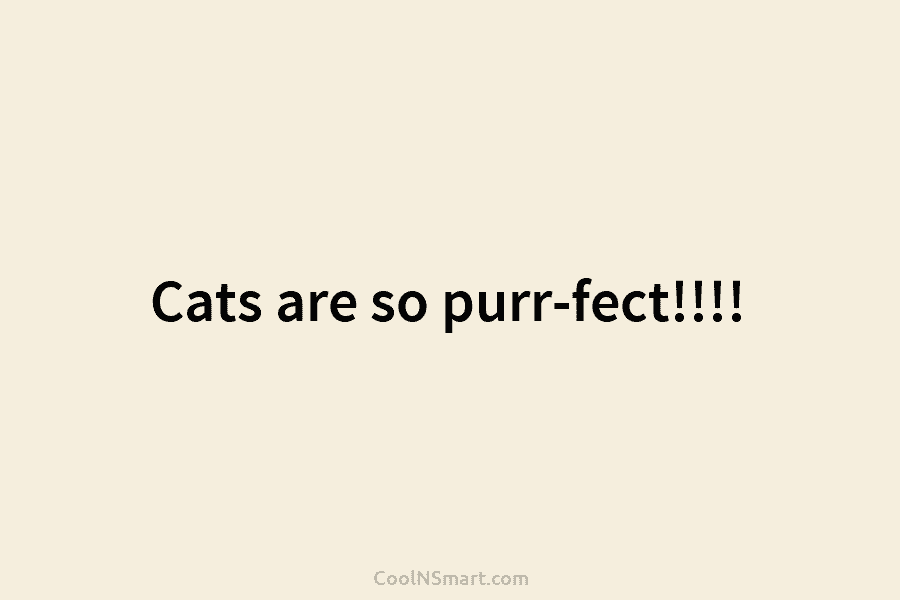 Cats are so purr-fect!!!!