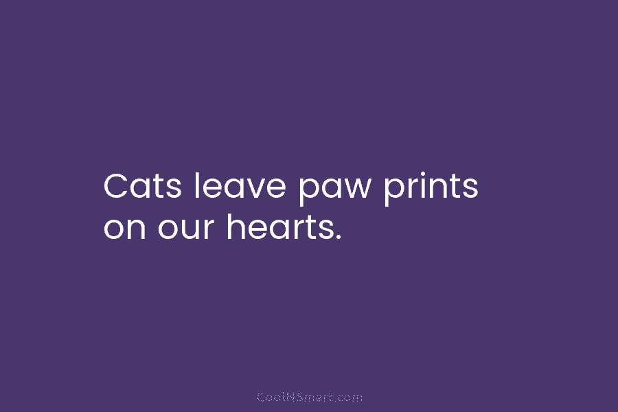Cats leave paw prints on our hearts.