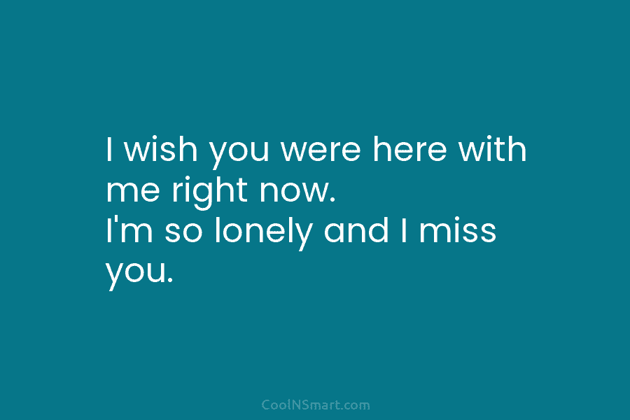 I wish you were here with me right now. I’m so lonely and I miss you.