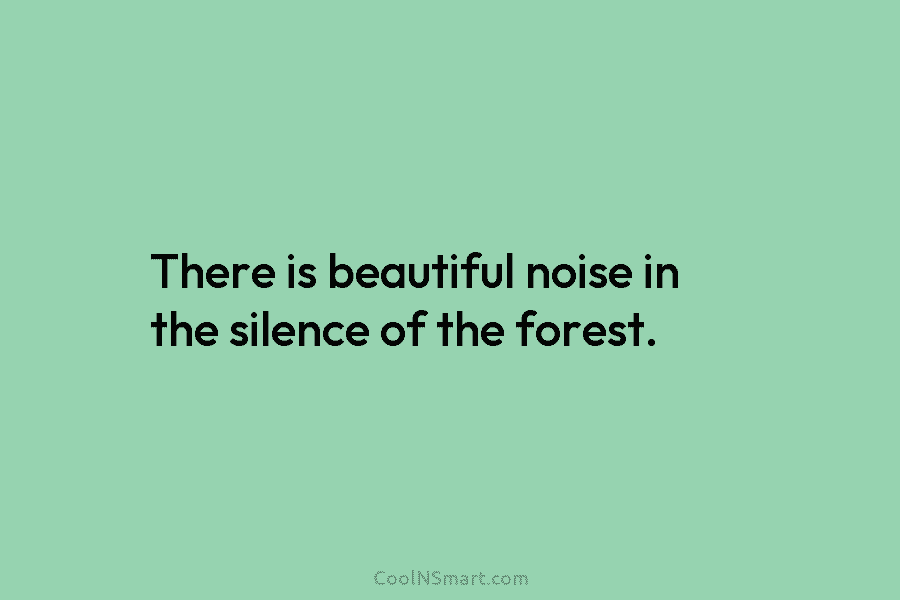 There is beautiful noise in the silence of the forest.