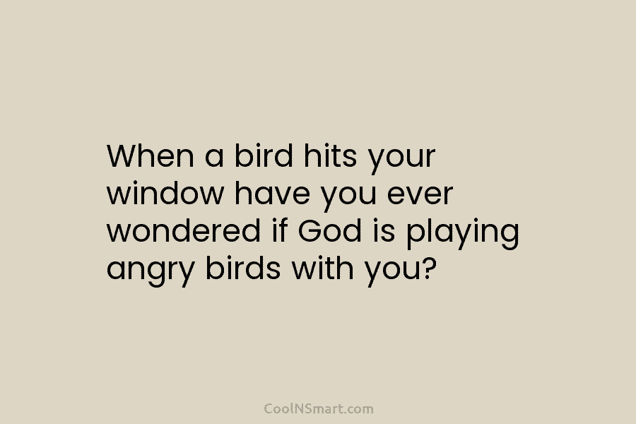 When a bird hits your window have you ever wondered if God is playing angry...