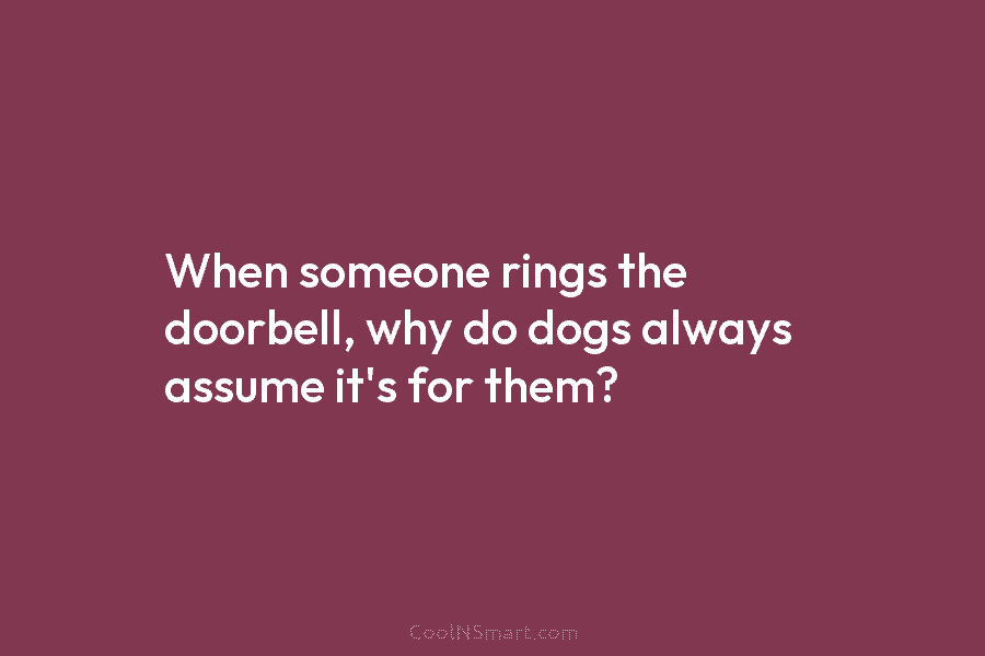 When someone rings the doorbell, why do dogs always assume it’s for them?