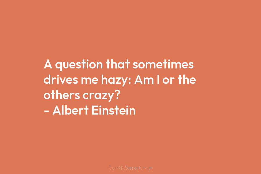 A question that sometimes drives me hazy: Am I or the others crazy? – Albert Einstein