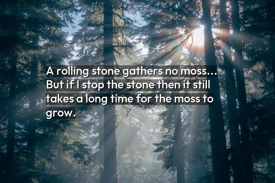 meaning of proverb a rolling stone gathers no moss