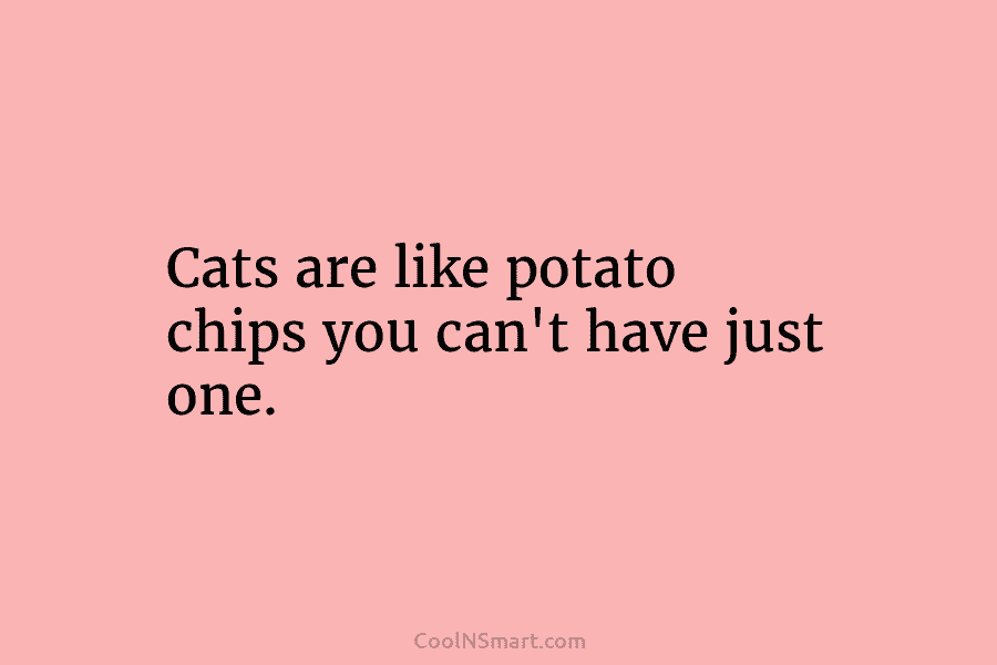 Cats are like potato chips you can’t have just one.