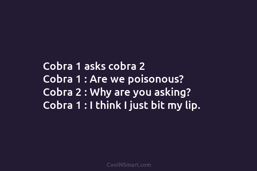 Cobra 1 asks cobra 2 Cobra 1 : Are we poisonous? Cobra 2 : Why...