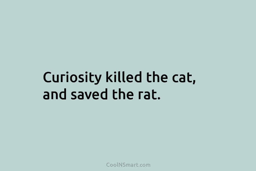 Curiosity killed the cat, and saved the rat.