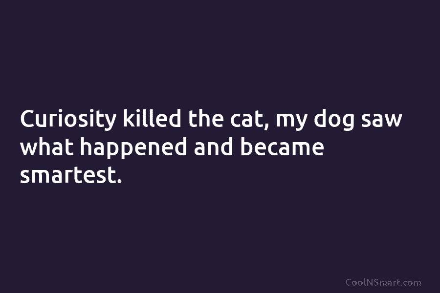 Curiosity killed the cat, my dog saw what happened and became smartest.