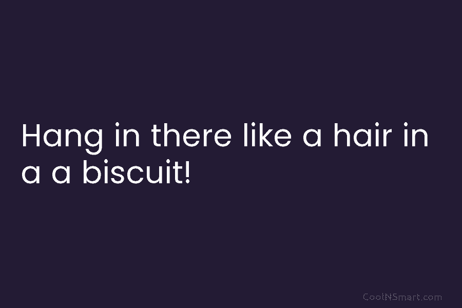Hang in there like a hair in a a biscuit!