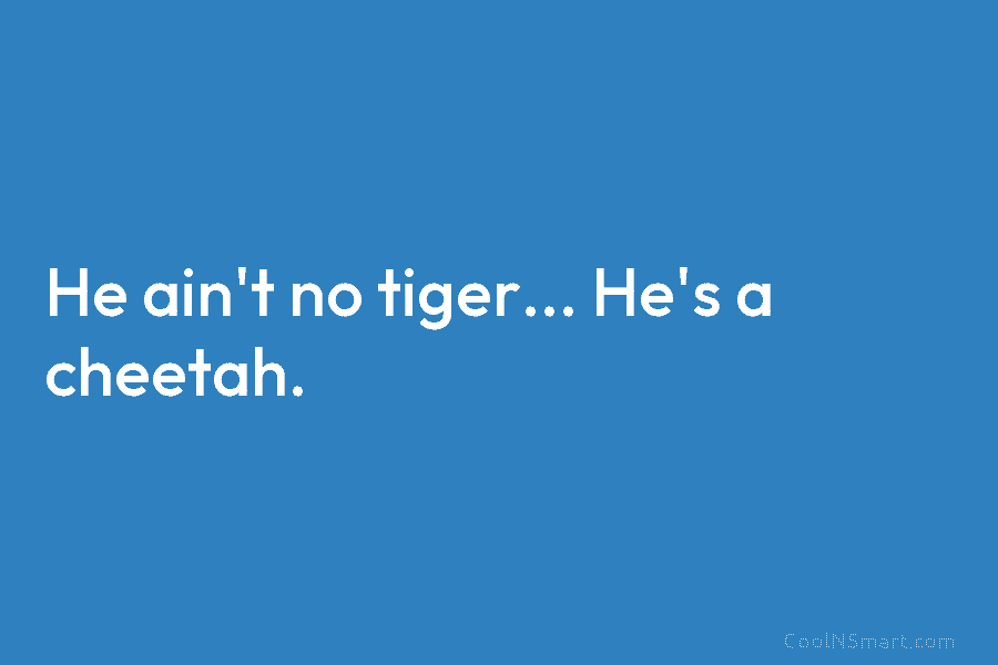 He ain’t no tiger… He’s a cheetah.