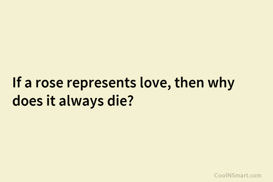 If a rose represents love, then why does it always die?