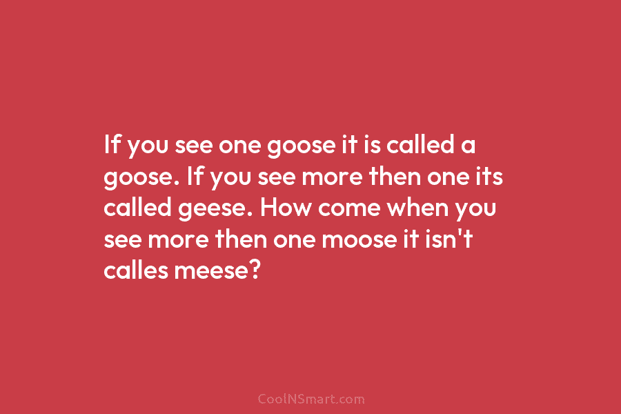 If you see one goose it is called a goose. If you see more then one its called geese. How...