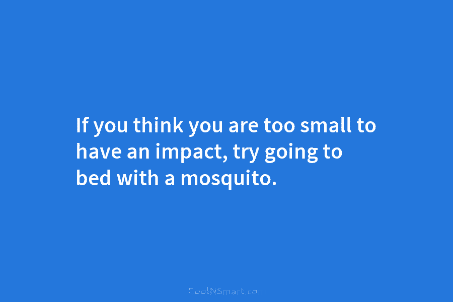 If you think you are too small to have an impact, try going to bed with a mosquito.