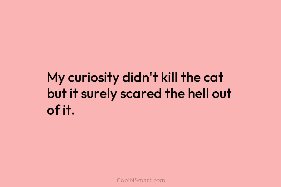 My curiosity didn’t kill the cat but it surely scared the hell out of it.