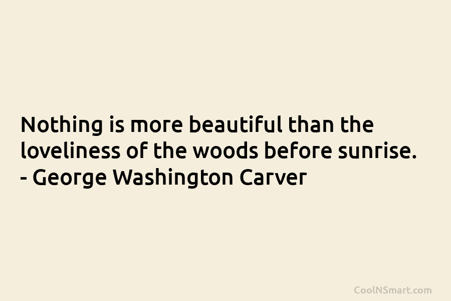 Nothing is more beautiful than the loveliness of the woods before sunrise. – George Washington...