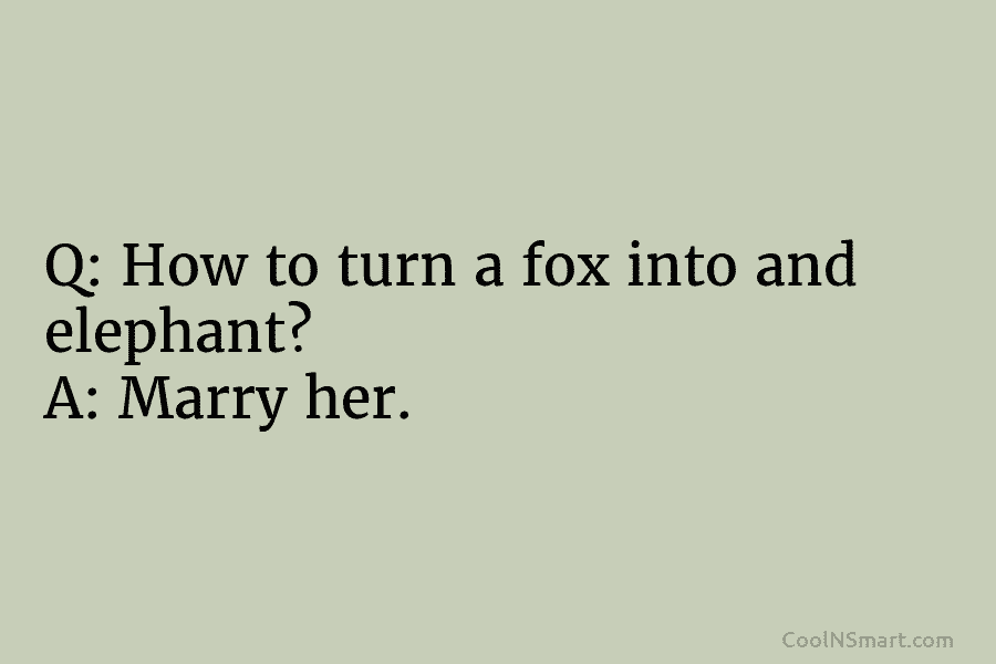 Q: How to turn a fox into and elephant? A: Marry her.
