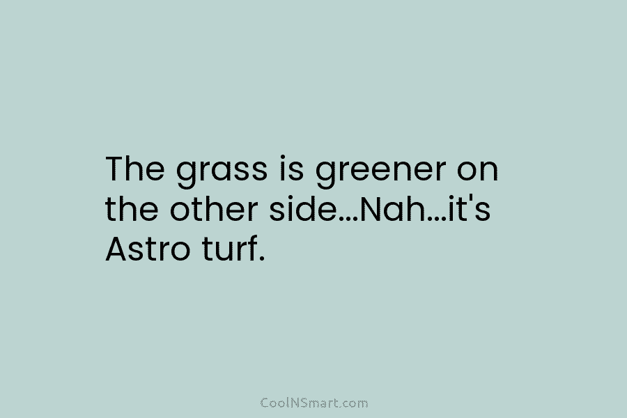 The grass is greener on the other side…Nah…it’s Astro turf.