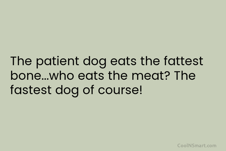an essay on the patient dog eats the fattest bone