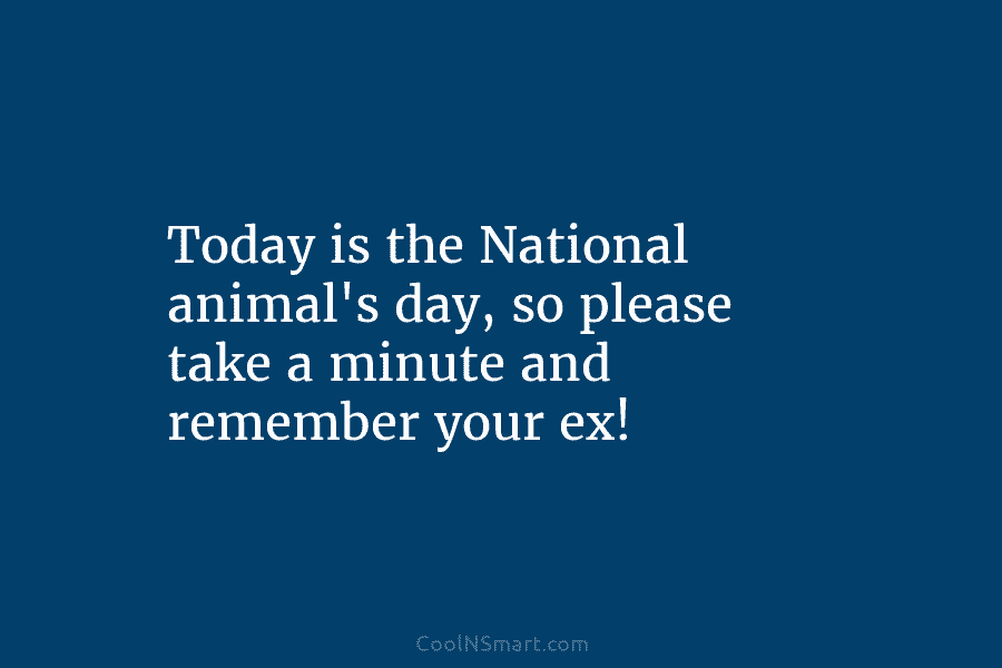 Today is the National animal’s day, so please take a minute and remember your ex!