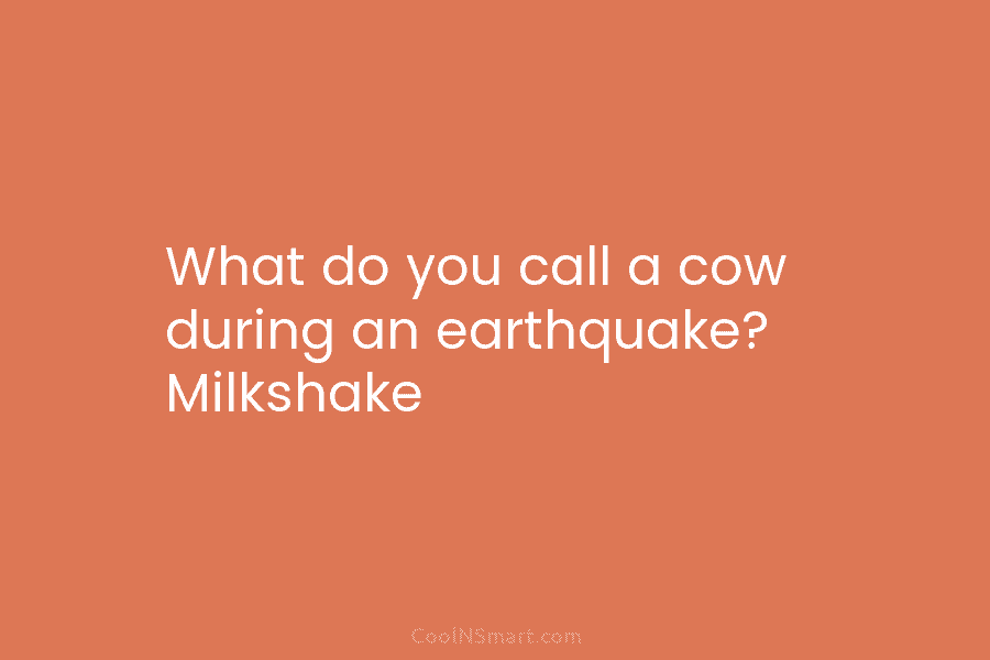 What do you call a cow during an earthquake? Milkshake