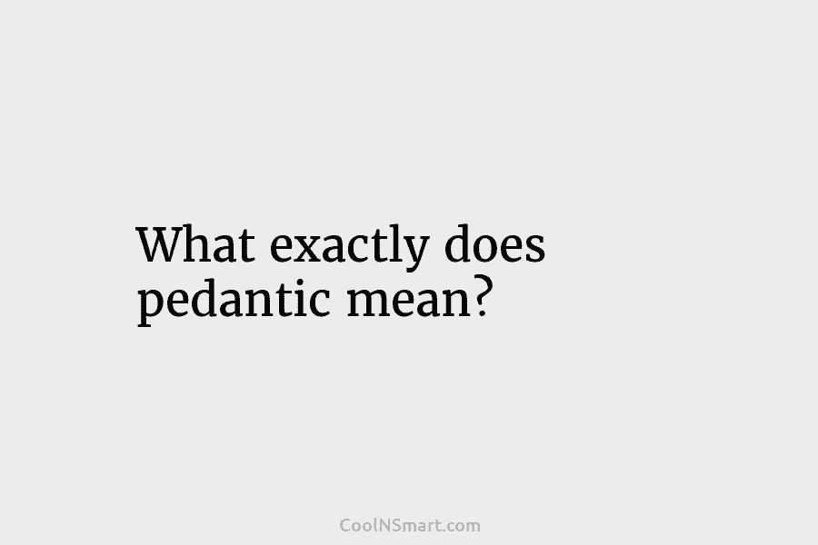 What exactly does pedantic mean?