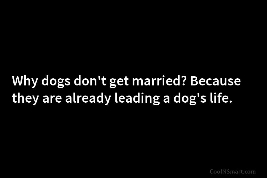 Why dogs don’t get married? Because they are already leading a dog’s life.