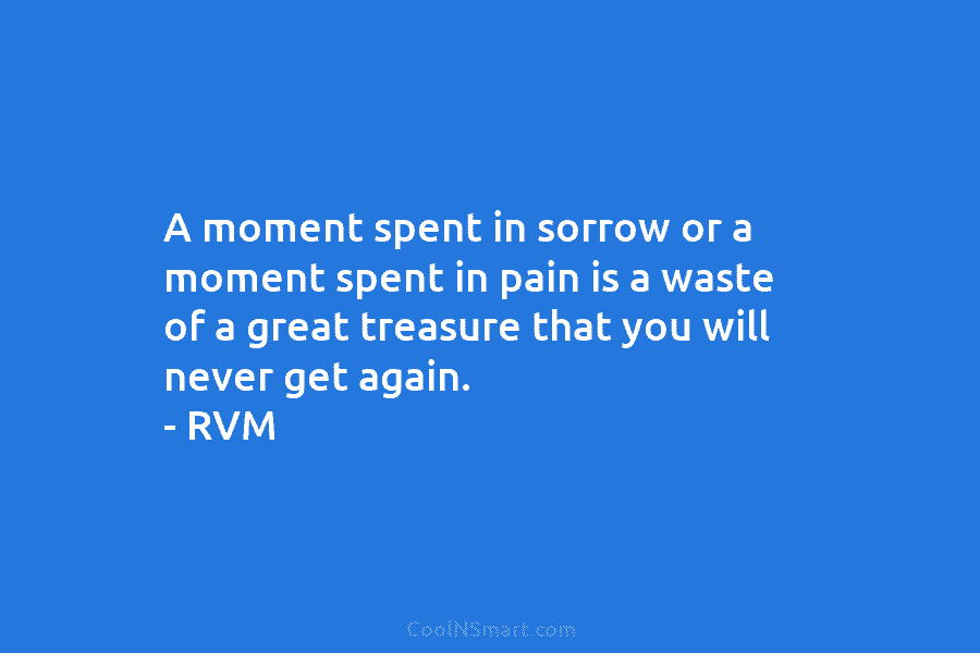 A moment spent in sorrow or a moment spent in pain is a waste of a great treasure that you...