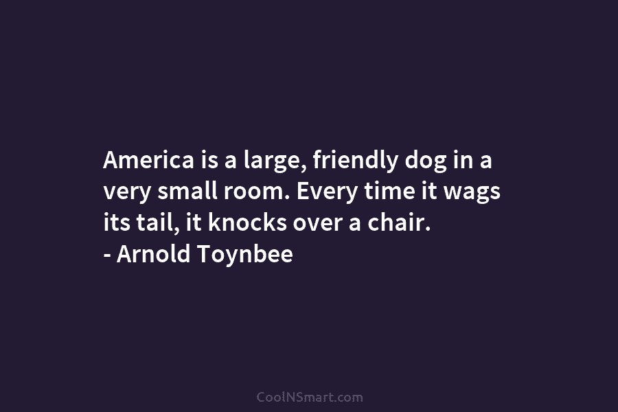 America is a large, friendly dog in a very small room. Every time it wags...