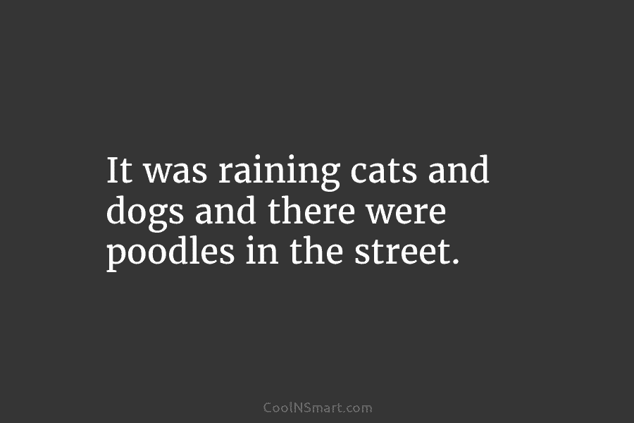 It was raining cats and dogs and there were poodles in the street.