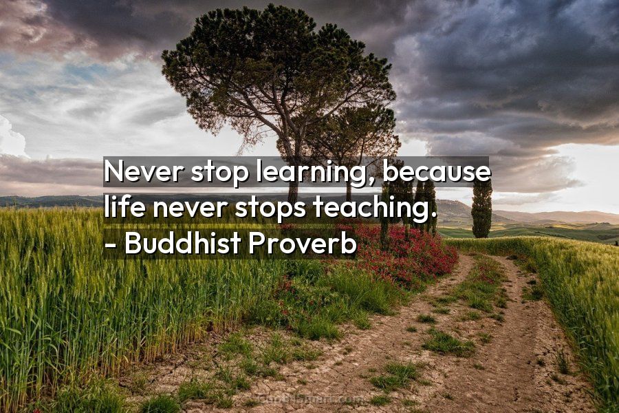 Quote Never stop learning, because life never stops teaching