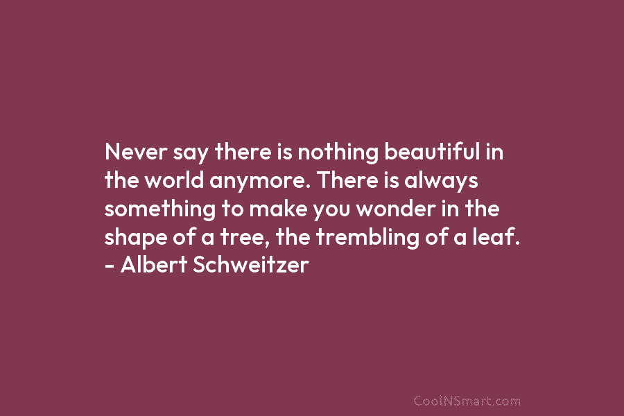 Never say there is nothing beautiful in the world anymore. There is always something to make you wonder in the...