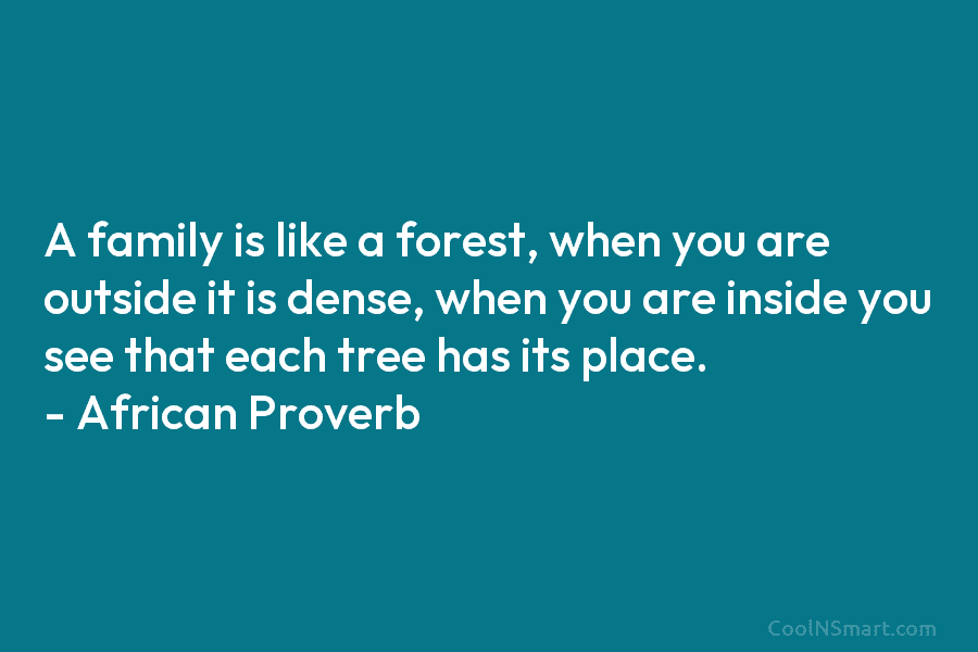 A family is like a forest, when you are outside it is dense, when you...