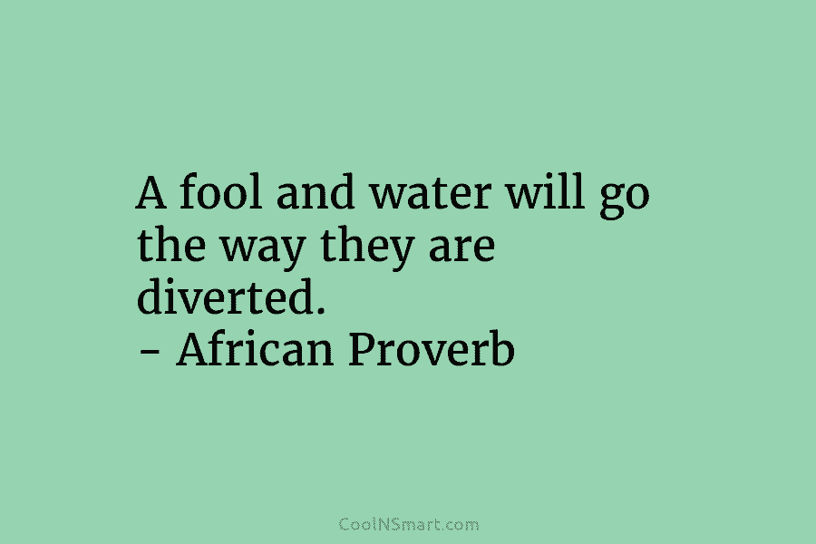 A fool and water will go the way they are diverted. – African Proverb