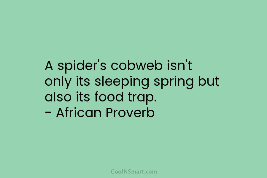 A spider’s cobweb isn’t only its sleeping spring but also its food trap. – African Proverb