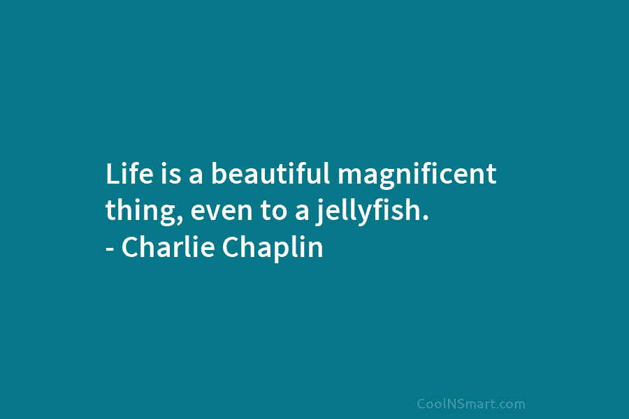 Life is a beautiful magnificent thing, even to a jellyfish. – Charlie Chaplin