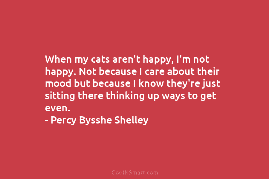 When my cats aren’t happy, I’m not happy. Not because I care about their mood...