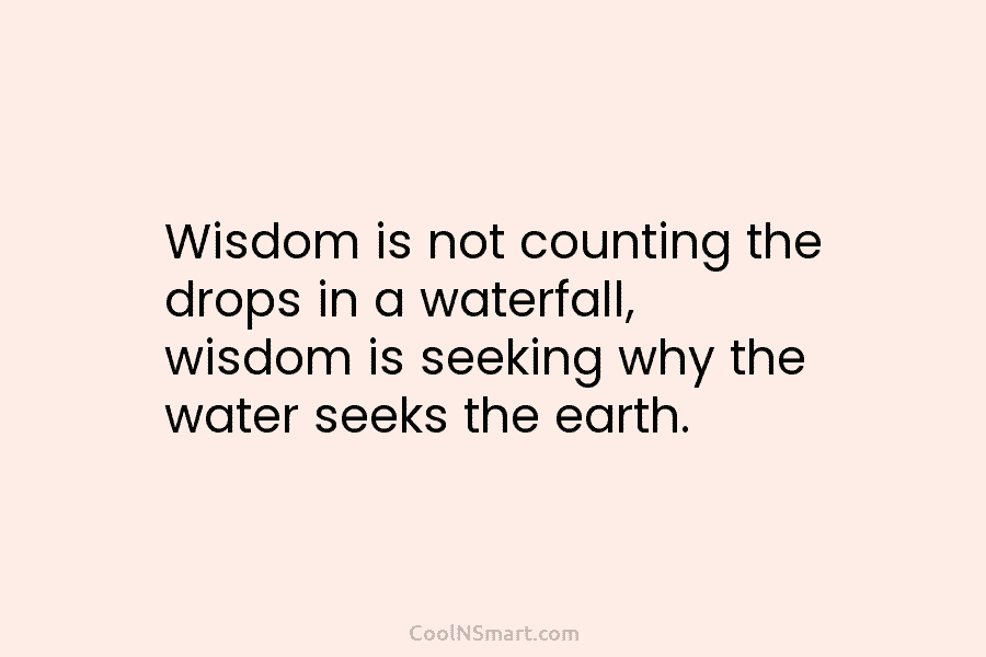 Wisdom is not counting the drops in a waterfall, wisdom is seeking why the water seeks the earth.