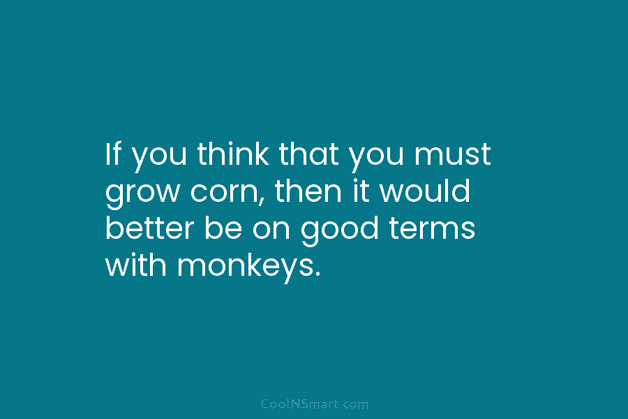 If you think that you must grow corn, then it would better be on good...