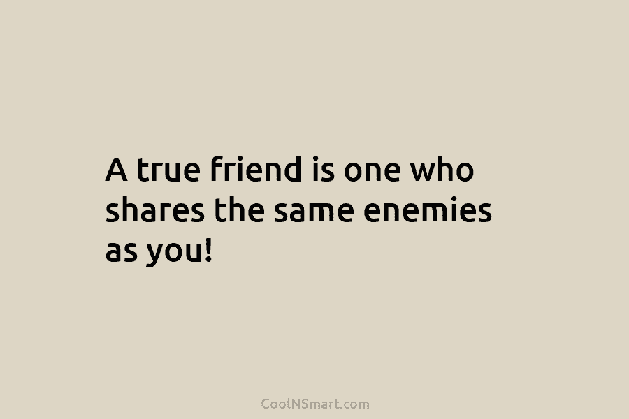 A true friend is one who shares the same enemies as you!