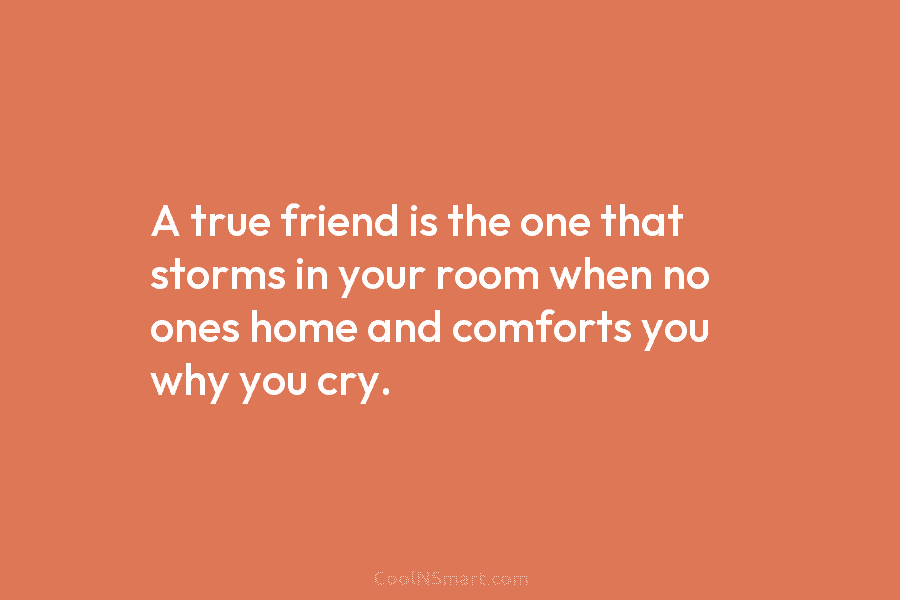 A true friend is the one that storms in your room when no ones home...