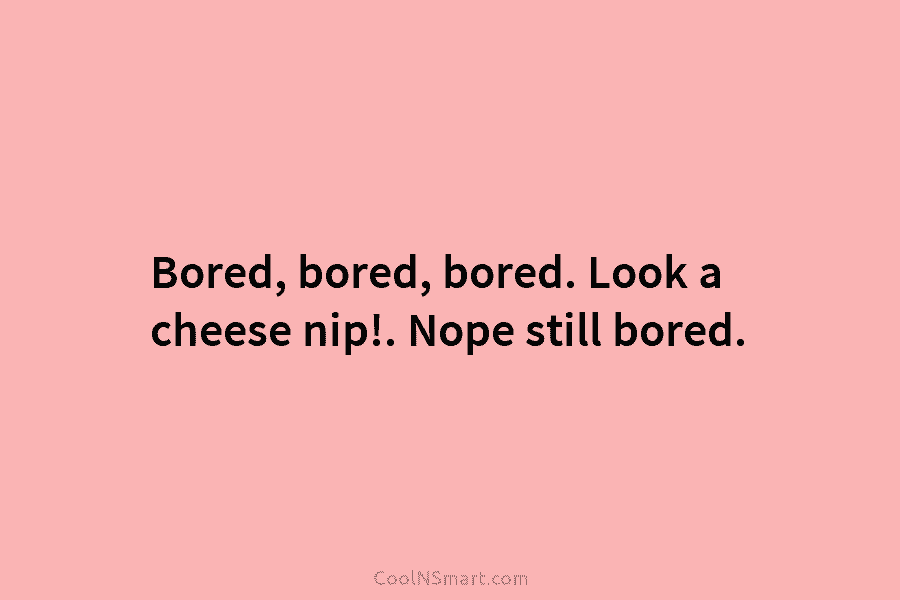Bored, bored, bored. Look a cheese nip!. Nope still bored.