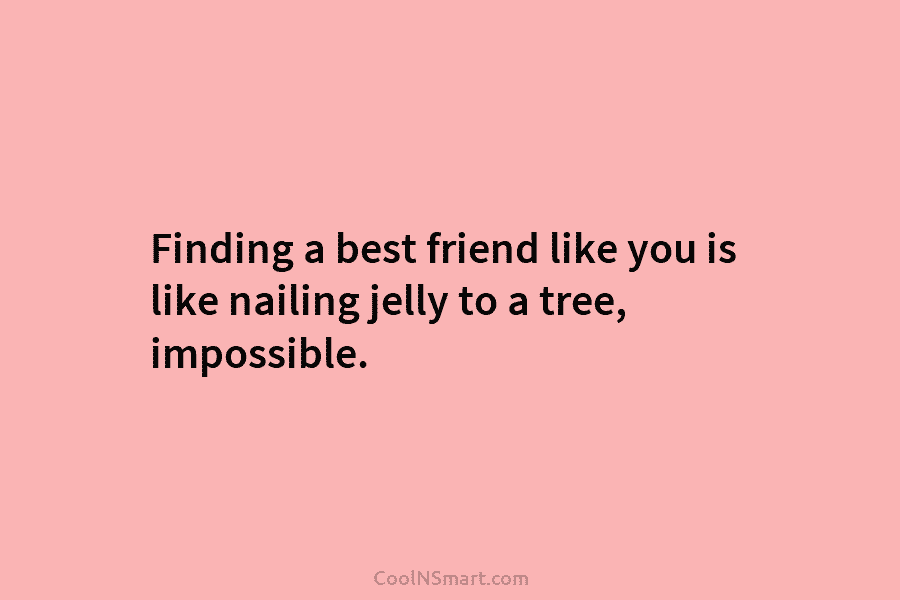 Finding a best friend like you is like nailing jelly to a tree, impossible.