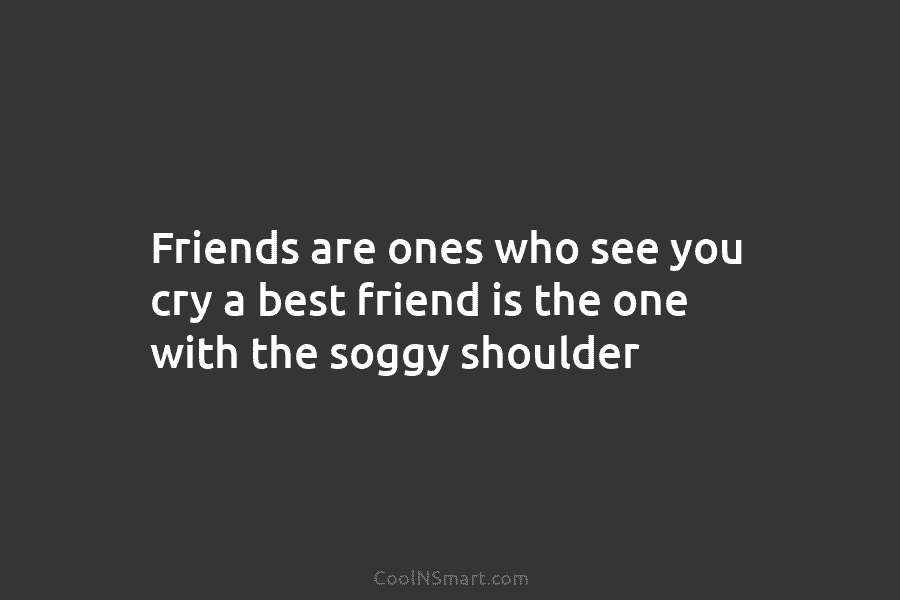 Friends are ones who see you cry a best friend is the one with the...