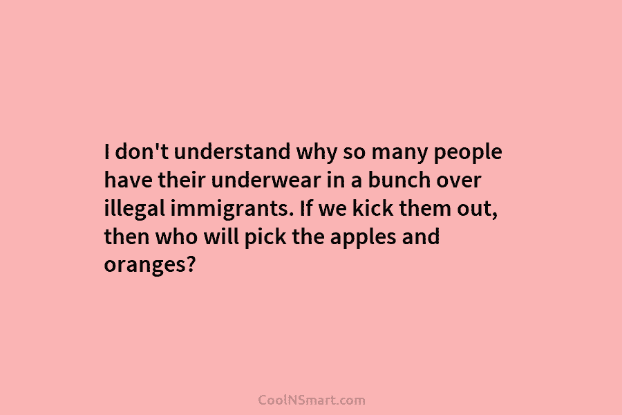 I don’t understand why so many people have their underwear in a bunch over illegal immigrants. If we kick them...
